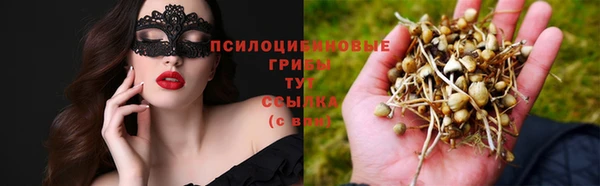 таблы Аркадак