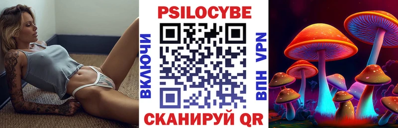 купить   Козловка  Псилоцибиновые грибы прущие грибы 